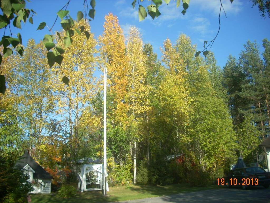 Taivalkoski Ruska Bed & Breakfast المظهر الخارجي الصورة